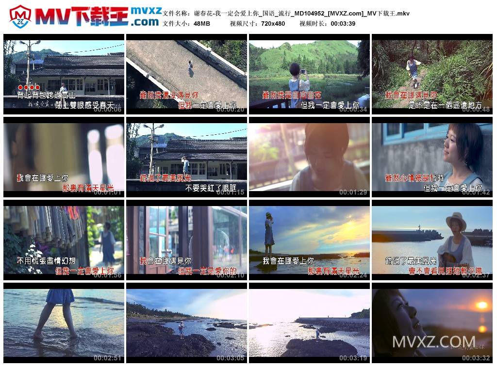 谢春花-我一定会爱上你_国语_流行_MD104952